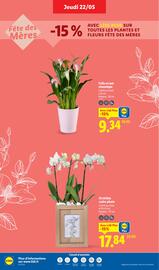 Catalogue Lidl semaine 21 page 30