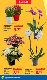 Catalogue Lidl semaine 21 page 32