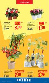 Catalogue Lidl semaine 21 page 33