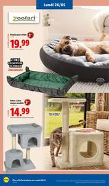 Catalogue Lidl semaine 21 page 64