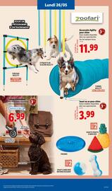 Catalogue Lidl semaine 21 page 65