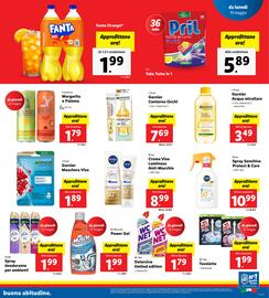 Volantino Lidl settimana 21 Pagina 13