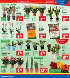 Volantino Lidl settimana 21 Pagina 19