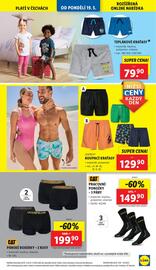 Lidl leták týden 21 Strana 15