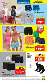 Lidl leták týden 21 Strana 15