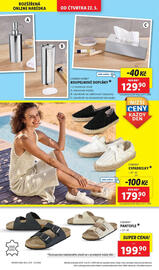 Lidl leták týden 21 Strana 24