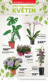 Lidl leták Strana 30