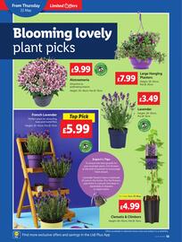 Lidl leaflet week 21 Page 18