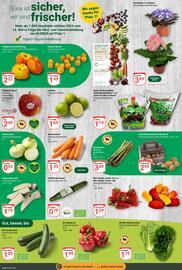 Globus Prospekt woche 21 Seite 4