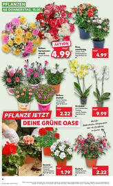 Kaufland Prospekt woche 20 Seite 4