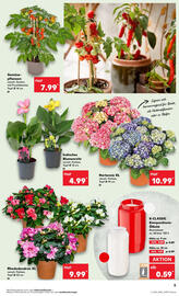Kaufland Prospekt woche 20 Seite 5