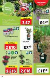 Lidl leaflet week 21 Page 22