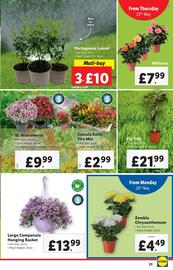 Lidl leaflet week 21 Page 23