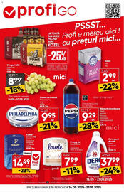 Catalog PROFI Pagină 1