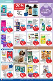 Budni Prospekt woche 22 Seite 5