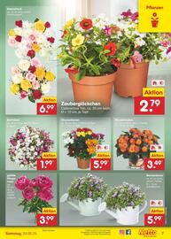 Netto Marken-Discount Prospekt woche 21 Seite 9