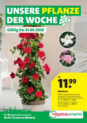 Hagebau Prospekt (gültig bis 21-05)