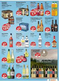 V Markt Prospekt woche 21 Seite 9