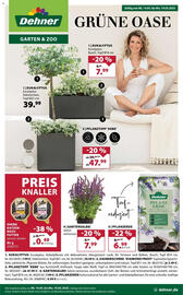 Dehner Prospekt woche 20 Seite 1
