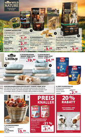 Dehner Prospekt woche 20 Seite 14
