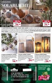 Dehner Prospekt woche 20 Seite 16