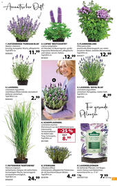 Dehner Prospekt woche 20 Seite 3