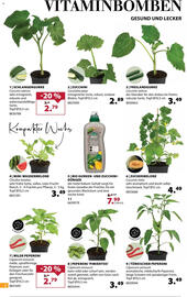 Dehner Prospekt woche 20 Seite 6
