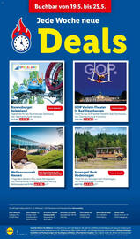 Lidl Reisen Prospekt Seite 42