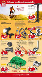 Sonderpreis Baumarkt Prospekt woche 20 Seite 17