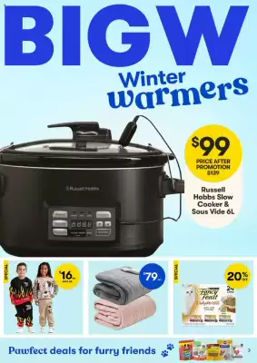 BIG W catalogue
