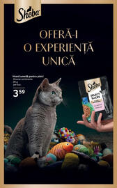 Catalog Selgros Pagină 102