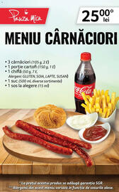 Catalog Selgros Pagină 40