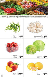 Catalog Selgros Pagină 6