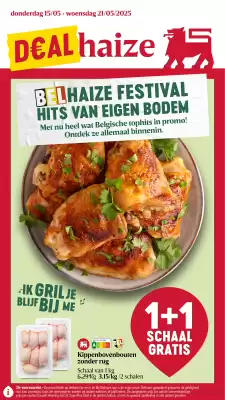 AD Delhaize folder
