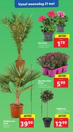 Lidl folder week 21 Pagina 18