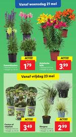 Lidl folder week 21 Pagina 19