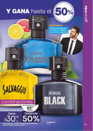 Catálogo Fuller Página 13