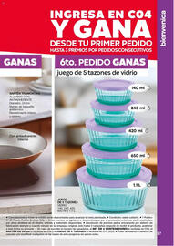 Catálogo Fuller Página 27