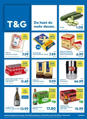 T&G Flugblatt (gültig bis 4-06)