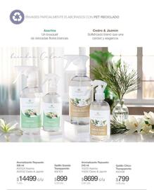Catálogo Biogreen Página 32