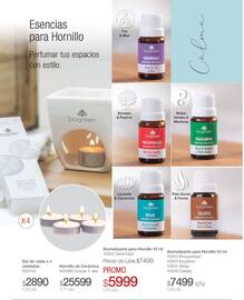 Catálogo Biogreen Página 52