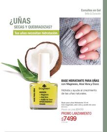 Catálogo Biogreen Página 85