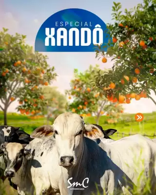 Catálogo Supermercado Cubatao