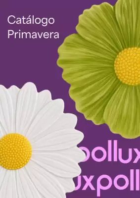 Folheto Pollux