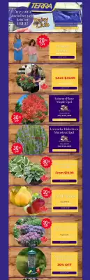 Terra Green Houses flyer (valid until 20-05)