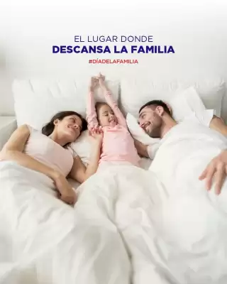 Catálogo La Cardeuse (válido hasta 31-05)