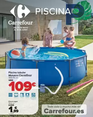 Folleto Carrefour (válido hasta el 19-06)