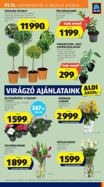 ALDI akciós újság hét 20 Oldal 25