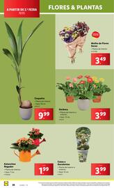Folheto Lidl semana 21 Página 26