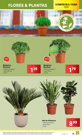 Folheto Lidl semana 21 Página 27
